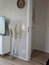 Ferienwohnung in Lenste - Kleiner Seestern - Bild 20