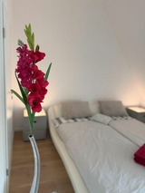 Ferienhaus in Timmendorfer Strand - Sealect-Hus 1 Timmendorfer Strand, Hauptstr. 4f - Bild 13