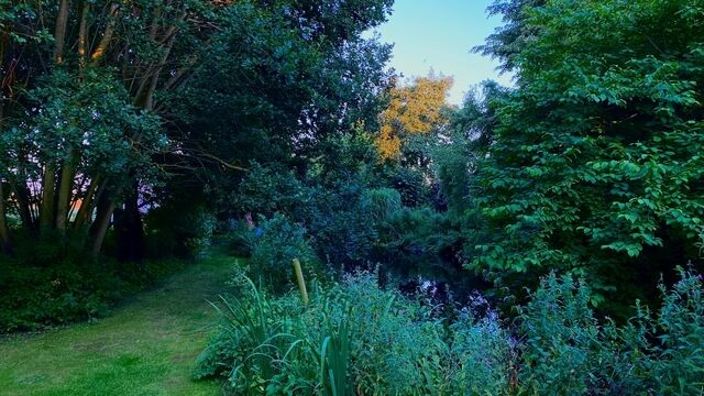 Ferienhaus in Schönwalde - Alte Kate - Bild 25
