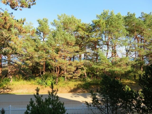 Ferienwohnung in Seebad Heringsdorf - (Brise) D&uuml;nenhaus Christa App. 11 - Bild 6