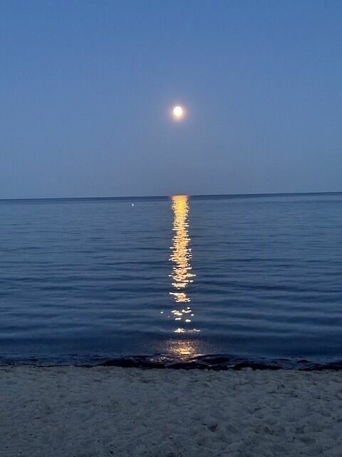 Ferienwohnung in Kellenhusen - Abendsonne 43 - Bild 24