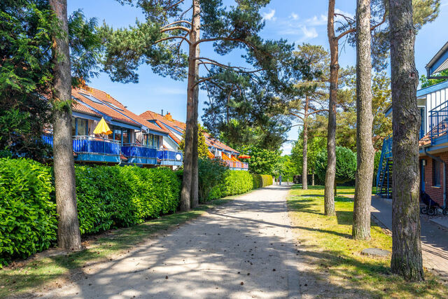 Ferienwohnung in Boltenhagen - Papillon 14-7 - Bild 22