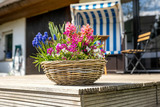 Ferienhaus in Lancken-Granitz - Ferienhaus Buttje - Bild 8