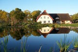 Ferienwohnung in Lancken-Granitz - Die gro&szlig;e Gr&uuml;ne - Bild 5