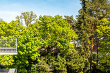 Ferienwohnung in Timmendorfer Strand - Ferienwohnung Traumsonne - Bild 21