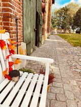Ferienwohnung in Neuhof - Feriengut Neuhof Wohnung 1 - Bild 24