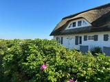 Ferienhaus in Zierow - Reethaus "Strandhafer" - Bild 18