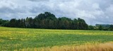 Ferienhaus in Zierow - Reethaus "53&deg; Nord" - Bild 9
