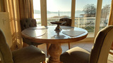 Ferienwohnung in Binz - Villa Seerosen, Whg. 16 - Bild 5
