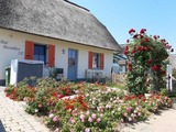Ferienhaus in Zierow - Reethaus "Dat Rosenhus" - Bild 19