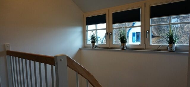 Ferienhaus in Zierow - Reethaus "Frieda" - Bild 11