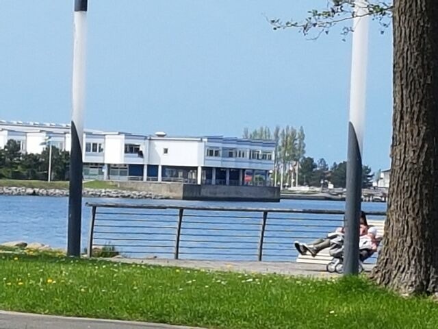Ferienwohnung in Heiligenhafen - Ferienwohnung "Mauersegler" - Bild 11