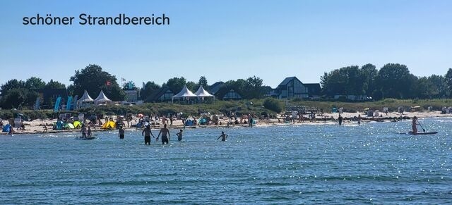 Ferienwohnung in Wendtorf - Muschelsucher - Bild 15