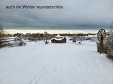 Ferienwohnung in Wendtorf - Muschelsucher - Bild 19